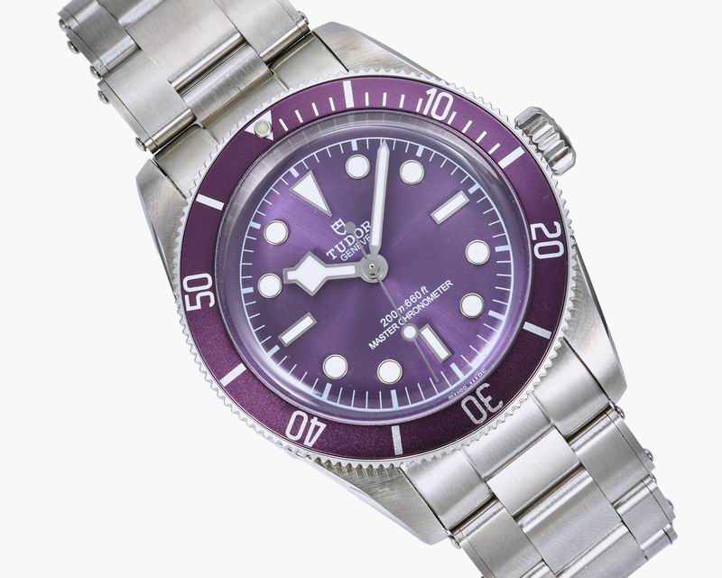 Tudor 41mm 090295